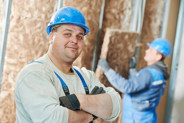 Best Insulation Replacement Services  in USA